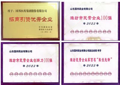 【喜讯】Letou乐投医药及下属山东Letou乐投药业喜获2023潍坊招商引资优秀企业、潍坊民营企业100强等多项荣誉